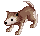1107.gif