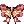 50253.png