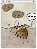 Trilobita