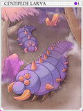 Larva de Centopéia