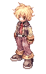 duelista-npc.gif