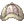 Oliva